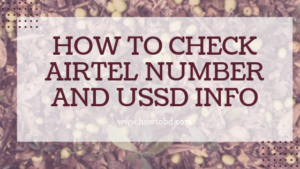 Read more about the article How to easily Check Airtel Number and USSD Info