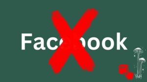 Read more about the article How to Delete Your Facebook Account?